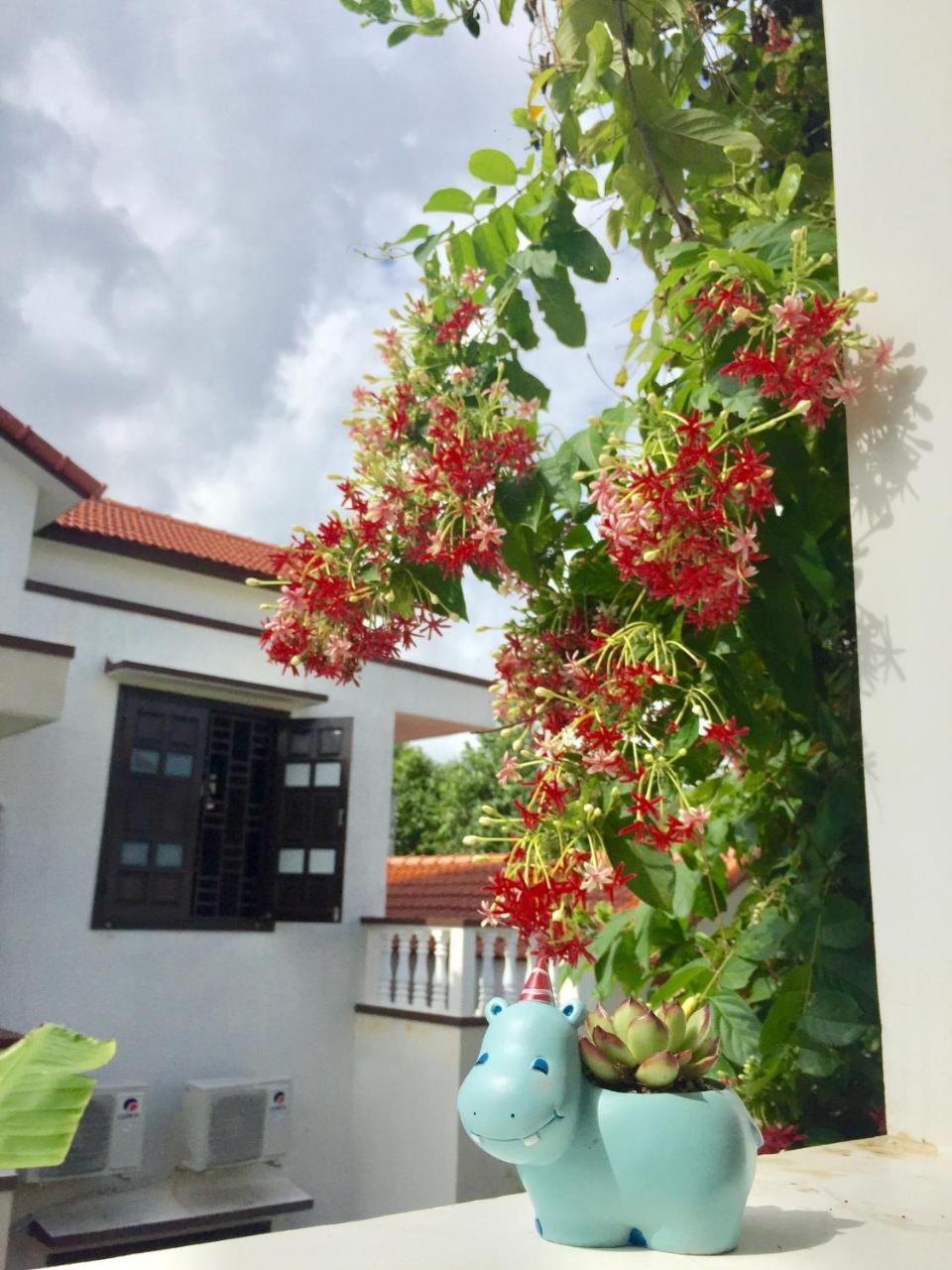 Holy Land Homestay Hoi An Exteriér fotografie